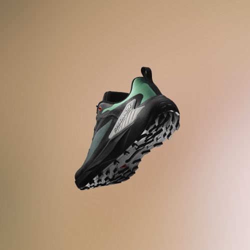 chaussure de trail genesis gore-tex